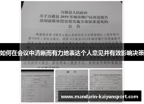 如何在会议中清晰而有力地表达个人意见并有效影响决策