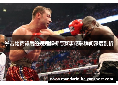 拳击比赛背后的规则解析与赛事精彩瞬间深度剖析