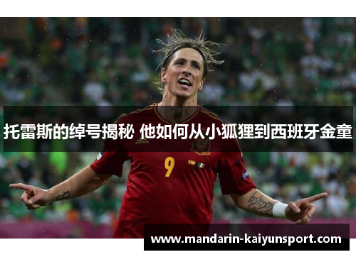 托雷斯的绰号揭秘 他如何从小狐狸到西班牙金童