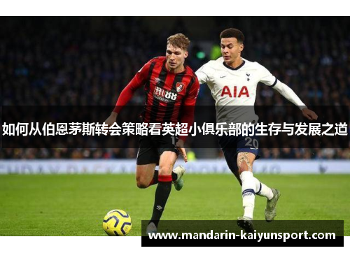 如何从伯恩茅斯转会策略看英超小俱乐部的生存与发展之道