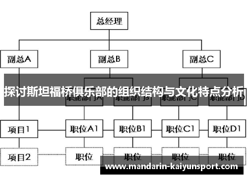 探讨斯坦福桥俱乐部的组织结构与文化特点分析