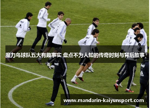 魔力鸟球队五大有趣事实 盘点不为人知的传奇时刻与背后故事