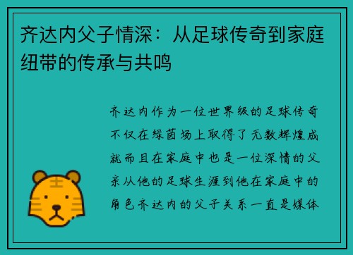 齐达内父子情深：从足球传奇到家庭纽带的传承与共鸣