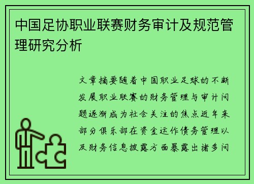 中国足协职业联赛财务审计及规范管理研究分析 中国足协职业联赛财务审计及规范管理研究分析