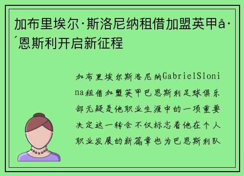 加布里埃尔·斯洛尼纳租借加盟英甲巴恩斯利开启新征程